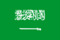 Dominos in Saudi Arabia